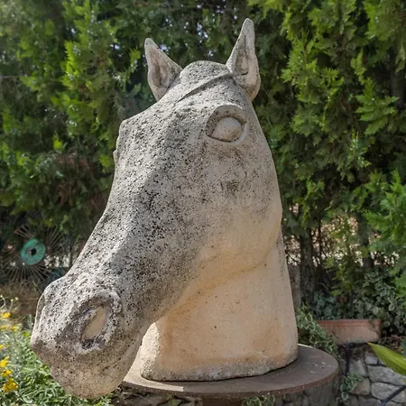Casa de camp El Paller De Cal Maso *